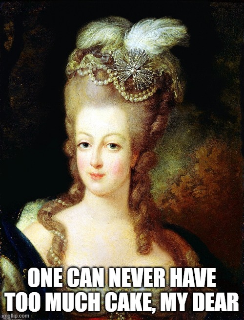 marie antoinette | ONE CAN NEVER HAVE TOO MUCH CAKE, MY DEAR | image tagged in marie antoinette | made w/ Imgflip meme maker