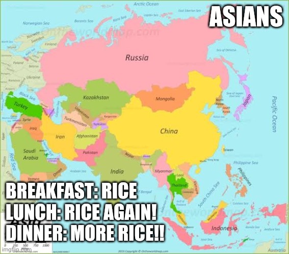 ASIANS BREAKFAST: RICE
LUNCH: RICE AGAIN!
DINNER: MORE RICE!! | made w/ Imgflip meme maker