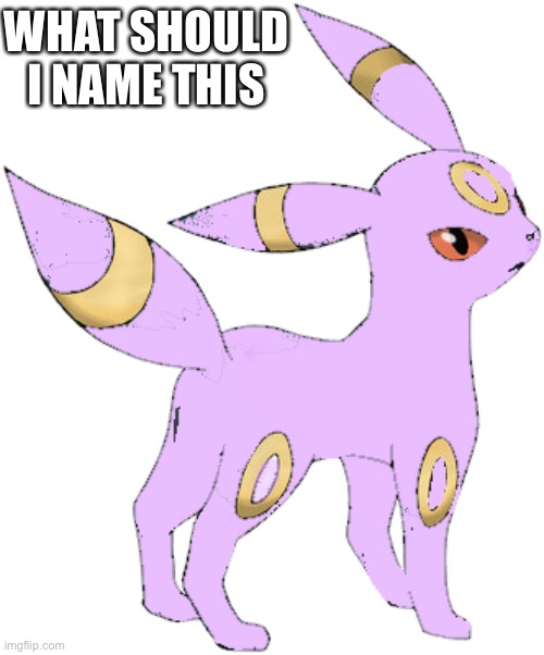 It’s a ghost type | WHAT SHOULD I NAME THIS | made w/ Imgflip meme maker