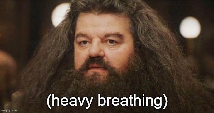 Hagrid | (heavy breathing) | image tagged in hagrid | made w/ Imgflip meme maker