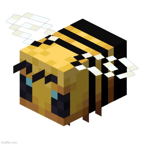 image tagged in dumb bee named buzzo | made w/ Imgflip meme maker