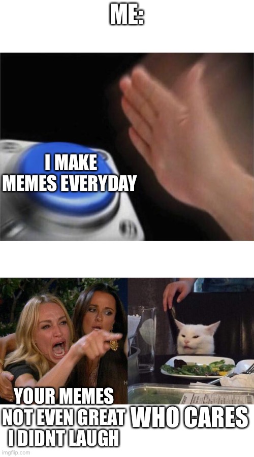 Why mY meME sO nOOb | ME:; I MAKE MEMES EVERYDAY; WHO CARES; YOUR MEMES NOT EVEN GREAT I DIDNT LAUGH | image tagged in memes,blank nut button,woman yelling at cat | made w/ Imgflip meme maker
