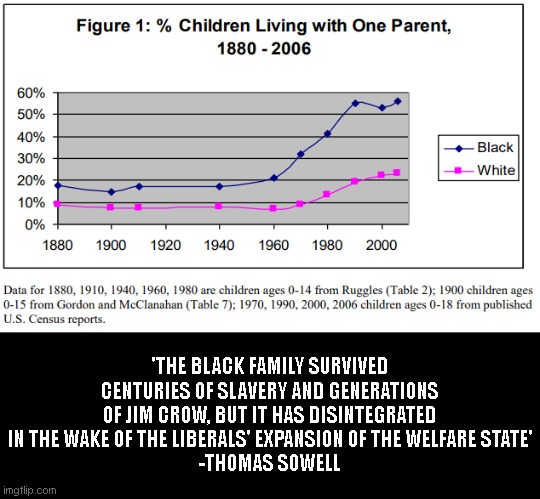 'THE BLACK FAMILY SURVIVED CENTURIES OF SLAVERY AND GENERATIONS OF JIM CROW, BUT IT HAS DISINTEGRATED IN THE WAKE OF THE LIBERALS' EXPANSION OF THE WELFARE STATE'
-THOMAS SOWELL | image tagged in liberals,democrat,welfare,blm,trump,conservatives | made w/ Imgflip meme maker