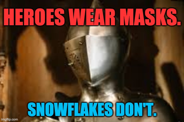 Heroes Wear Masks | HEROES WEAR MASKS. SNOWFLAKES DON'T. | image tagged in heroes,masks,covid-19,pandemic | made w/ Imgflip meme maker