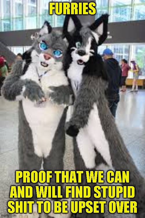 Yes I've been drinking. Whata bout it? | FURRIES; PROOF THAT WE CAN AND WILL FIND STUPID SHIT TO BE UPSET OVER | image tagged in damn i am tired,good vacation | made w/ Imgflip meme maker
