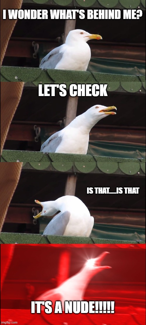 Inhaling Seagull Meme | I WONDER WHAT'S BEHIND ME? LET'S CHECK; IS THAT.....IS THAT; IT'S A NUDE!!!!! | image tagged in memes,inhaling seagull | made w/ Imgflip meme maker