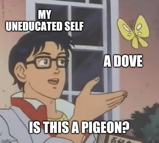 That are, in my eyes, almost indistinguishable. | MY UNEDUCATED SELF; A DOVE; IS THIS A PIGEON? | image tagged in memes,is this a pigeon,dove | made w/ Imgflip meme maker