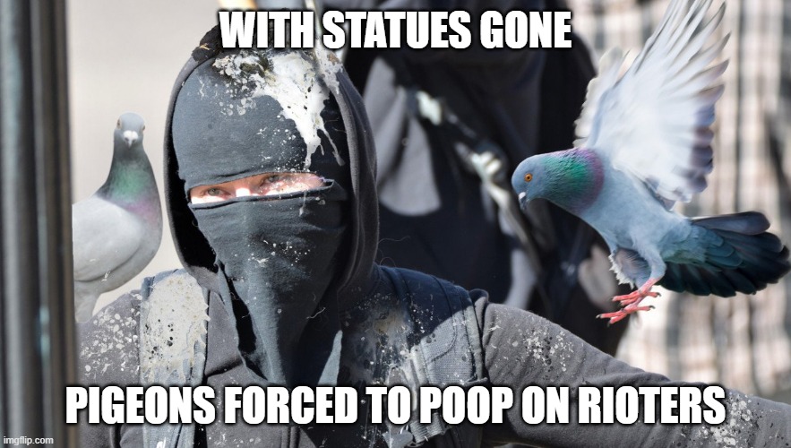 Pigeons | WITH STATUES GONE; PIGEONS FORCED TO POOP ON RIOTERS | image tagged in adrico scavdava | made w/ Imgflip meme maker