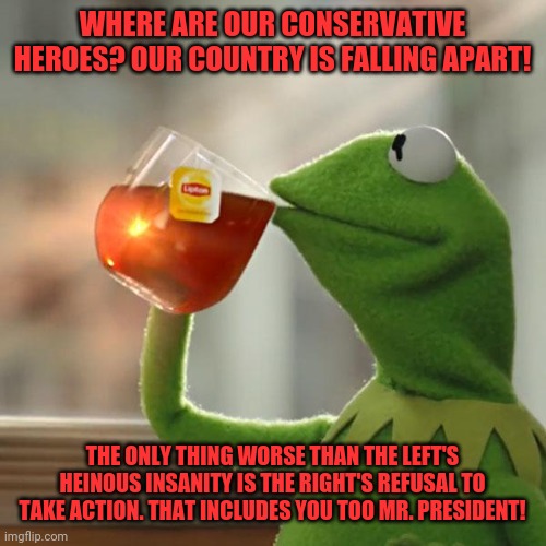 But That's None Of My Business | WHERE ARE OUR CONSERVATIVE HEROES? OUR COUNTRY IS FALLING APART! THE ONLY THING WORSE THAN THE LEFT'S HEINOUS INSANITY IS THE RIGHT'S REFUSAL TO TAKE ACTION. THAT INCLUDES YOU TOO MR. PRESIDENT! | image tagged in memes,but that's none of my business,kermit the frog | made w/ Imgflip meme maker