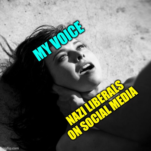 Liberals and Democrats are Social Media Nazis | MY VOICE; NAZI LIBERALS ON SOCIAL MEDIA | image tagged in politics,truth,voice,liberals,social media | made w/ Imgflip meme maker