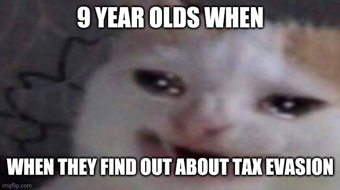 Posted ironically | 9 YEAR OLDS WHEN; WHEN THEY FIND OUT ABOUT TAX EVASION | image tagged in cancer cat | made w/ Imgflip meme maker