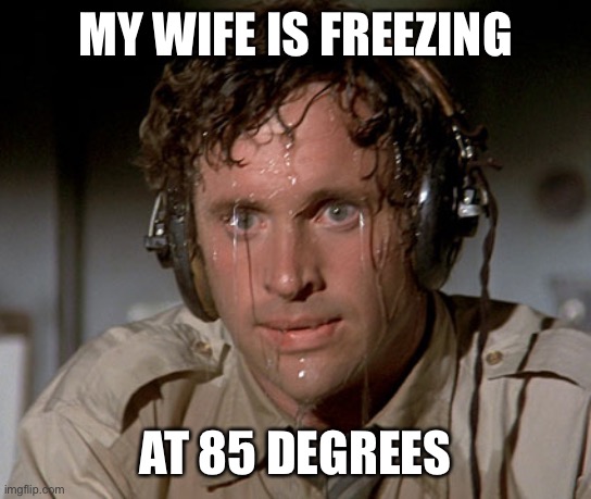 Sweating on commute after jiu-jitsu | MY WIFE IS FREEZING AT 85 DEGREES | image tagged in sweating on commute after jiu-jitsu | made w/ Imgflip meme maker