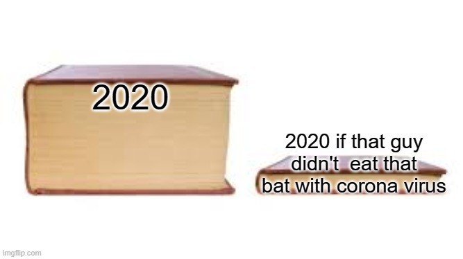corona-virus sucks | 2020; 2020 if that guy didn't  eat that bat with corona virus | image tagged in big book small book | made w/ Imgflip meme maker