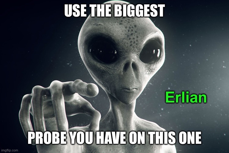 Alien Pointing | USE THE BIGGEST PROBE YOU HAVE ON THIS ONE Erlian | image tagged in alien pointing | made w/ Imgflip meme maker