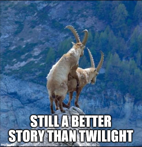 STILL A BETTER STORY THAN TWILIGHT | image tagged in goats,twilight,still a better love story than twilight | made w/ Imgflip meme maker