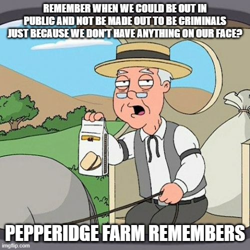 people need to calm the f down about not wearing a mask | REMEMBER WHEN WE COULD BE OUT IN PUBLIC AND NOT BE MADE OUT TO BE CRIMINALS JUST BECAUSE WE DON'T HAVE ANYTHING ON OUR FACE? PEPPERIDGE FARM REMEMBERS | image tagged in memes,pepperidge farm remembers,big deal,covid-19,angry mob | made w/ Imgflip meme maker