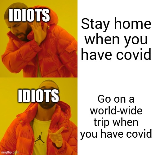 Drake Hotline Bling Meme | Stay home when you have covid; IDIOTS; Go on a world-wide trip when you have covid; IDIOTS | image tagged in memes,drake hotline bling | made w/ Imgflip meme maker