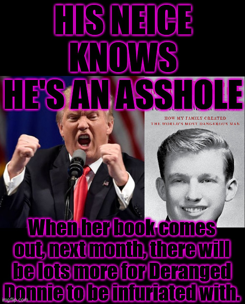 Judge allows book to be published. Dr. Mary L Trump, tells EVERYTHING in her book, that Uncle Donnie fought desperately to stop! | HIS NEICE KNOWS HE'S AN ASSHOLE; When her book comes out, next month, there will be lots more for Deranged Donnie to be infuriated with. | image tagged in book,trump is an asshole,psychopath,trump unfit unqualified dangerous,sociopath,trump meme | made w/ Imgflip meme maker