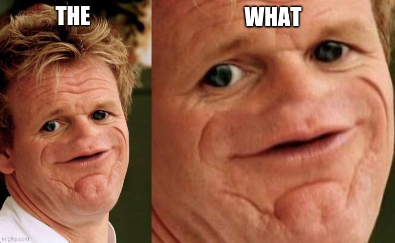 SOSIG hearing about SOSIG be like | WHAT; THE | image tagged in sosig,gordon ramsay sosig | made w/ Imgflip meme maker