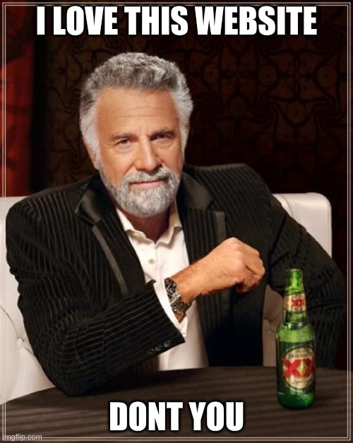 The Most Interesting Man In The World Meme | I LOVE THIS WEBSITE; DONT YOU | image tagged in memes,the most interesting man in the world | made w/ Imgflip meme maker
