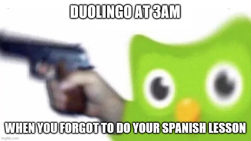 Duolingo wants to kill u | DUOLINGO AT 3AM; WHEN YOU FORGOT TO DO YOUR SPANISH LESSON | image tagged in duolingo gun | made w/ Imgflip meme maker
