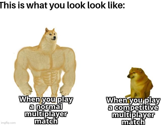 image tagged in multi doge | made w/ Imgflip meme maker