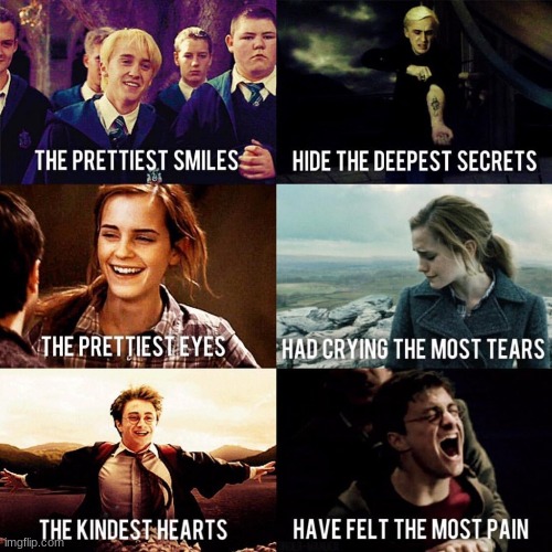 This is so sadly true | image tagged in harry potter,hermione granger,draco malfoy | made w/ Imgflip meme maker