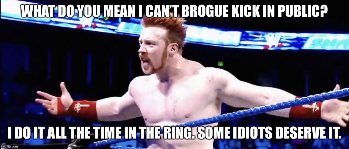 What do you mean I can’t do that? | WHAT DO YOU MEAN I CAN’T BROGUE KICK IN PUBLIC? I DO IT ALL THE TIME IN THE RING. SOME IDIOTS DESERVE IT. | image tagged in what,sheamus,brogue kick,what do you mean | made w/ Imgflip meme maker