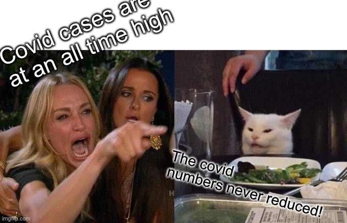 Woman Yelling At Cat Meme | Covid cases are at an all time high The covid numbers never reduced! | image tagged in memes,woman yelling at cat | made w/ Imgflip meme maker