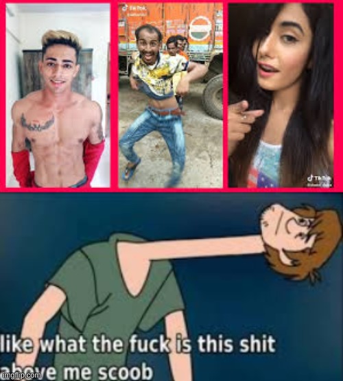 this img is stupid | image tagged in tiktok sucks | made w/ Imgflip meme maker