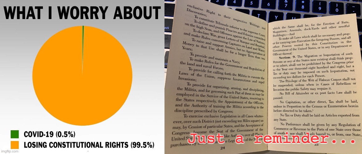 Covid vs The Constitution | Just a reminder... | image tagged in constitution | made w/ Imgflip meme maker