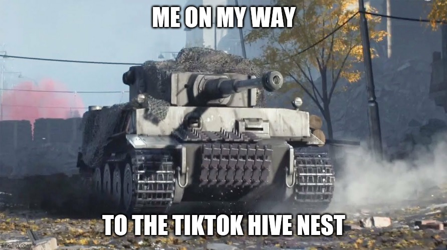 Tiger 237 | ME ON MY WAY; TO THE TIKTOK HIVE NEST | image tagged in tiger 237 | made w/ Imgflip meme maker