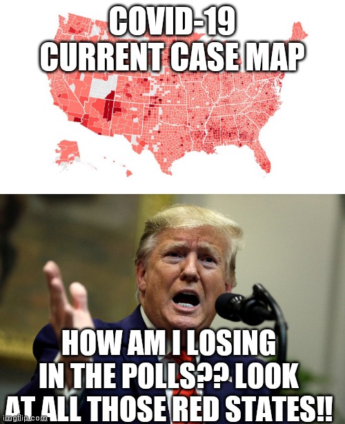 Our dumbsterfire at work... Did that on purpose | COVID-19 CURRENT CASE MAP; HOW AM I LOSING IN THE POLLS?? LOOK AT ALL THOSE RED STATES!! | image tagged in funny,politics,covid-19,donald trump,idiot,donald trump is an idiot | made w/ Imgflip meme maker