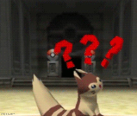 Confused furret | image tagged in confused furret | made w/ Imgflip meme maker
