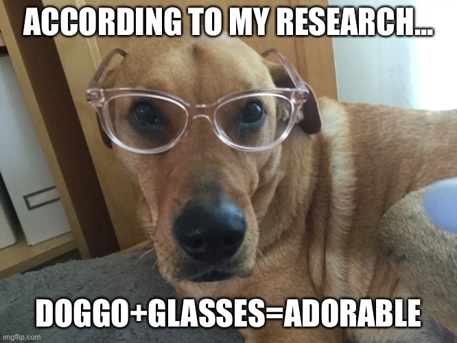 Smart Doggo | ACCORDING TO MY RESEARCH... DOGGO+GLASSES=ADORABLE | image tagged in smart doggo | made w/ Imgflip meme maker