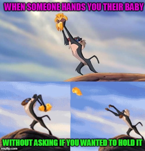 Simba Rafiki Lion King  | WHEN SOMEONE HANDS YOU THEIR BABY; WITHOUT ASKING IF YOU WANTED TO HOLD IT | image tagged in simba rafiki lion king | made w/ Imgflip meme maker