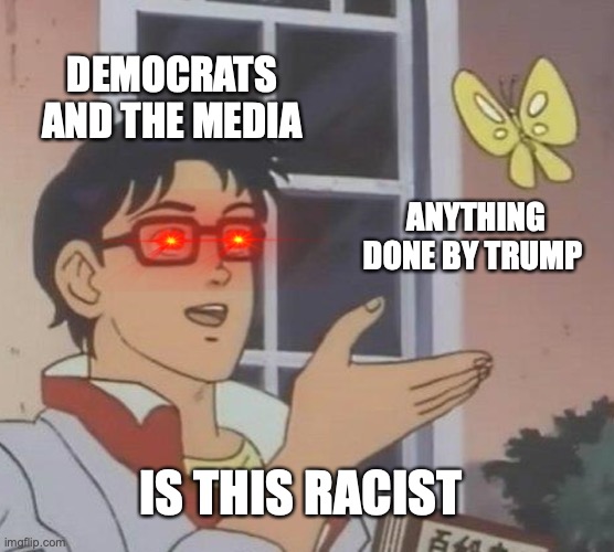Is This A Pigeon | DEMOCRATS AND THE MEDIA; ANYTHING DONE BY TRUMP; IS THIS RACIST | image tagged in memes,is this a pigeon | made w/ Imgflip meme maker