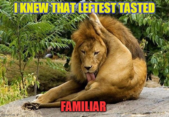 Lion licking himself | I KNEW THAT LEFTEST TASTED; FAMILIAR | image tagged in lion licking himself | made w/ Imgflip meme maker