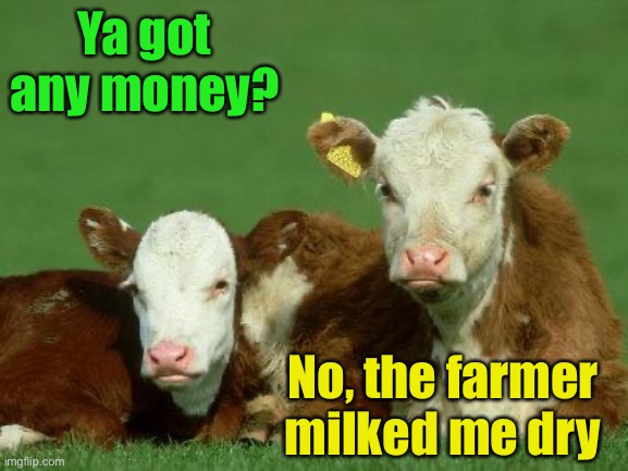 COWmedians | Ya got any money? No, the farmer milked me dry | image tagged in baby cows,milk carton,money | made w/ Imgflip meme maker