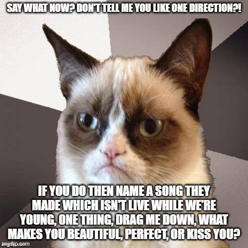 Musically Malicious Grumpy Cat | SAY WHAT NOW? DON'T TELL ME YOU LIKE ONE DIRECTION?! IF YOU DO THEN NAME A SONG THEY MADE WHICH ISN'T LIVE WHILE WE'RE YOUNG, ONE THING, DRAG ME DOWN, WHAT MAKES YOU BEAUTIFUL, PERFECT, OR KISS YOU? | image tagged in musically malicious grumpy cat,grumpy cat,grumpy cat not amused,one direction | made w/ Imgflip meme maker