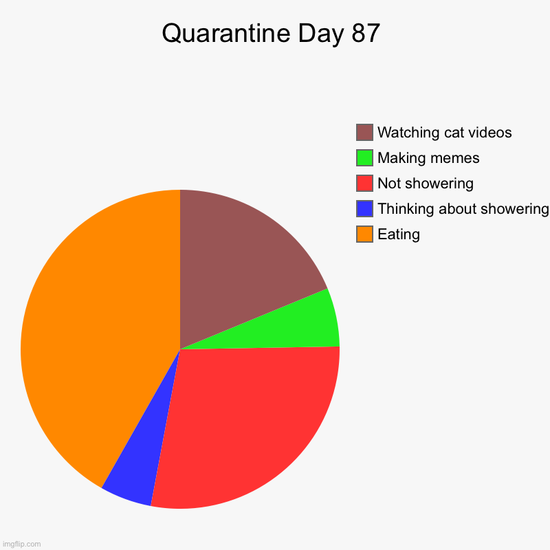 Quarantine Day 87 | Eating, Thinking about showering, Not showering , Making memes, Watching cat videos | image tagged in charts,pie charts | made w/ Imgflip chart maker