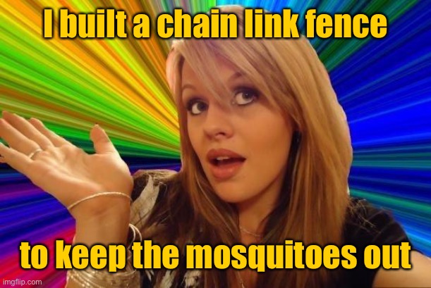 Dumb Blonde Meme | I built a chain link fence to keep the mosquitoes out | image tagged in memes,dumb blonde | made w/ Imgflip meme maker