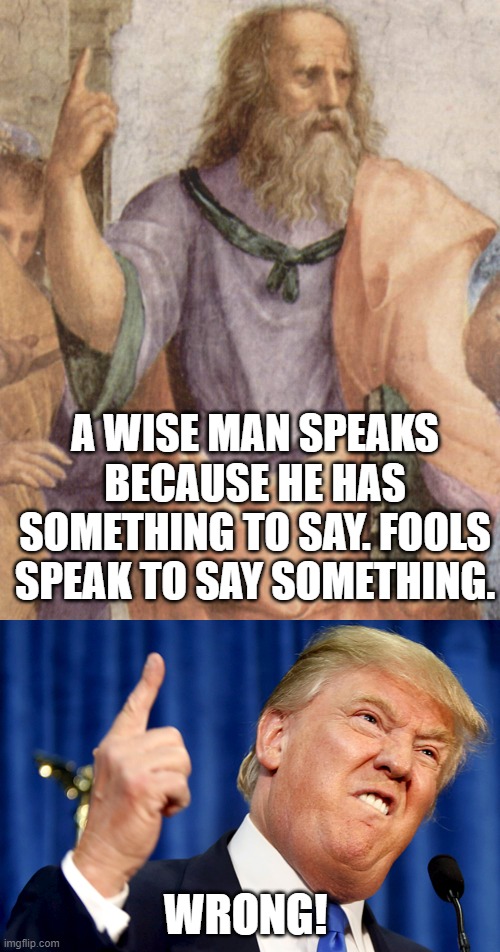 A WISE MAN SPEAKS BECAUSE HE HAS SOMETHING TO SAY. FOOLS SPEAK TO SAY SOMETHING. WRONG! | image tagged in donald trump,plato | made w/ Imgflip meme maker