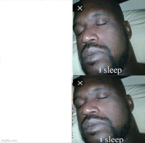 Me everyday | image tagged in memes,sleeping shaq,lol | made w/ Imgflip meme maker