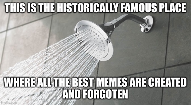 Shower Thoughts | THIS IS THE HISTORICALLY FAMOUS PLACE; WHERE ALL THE BEST MEMES ARE CREATED
AND FORGOTTEN | image tagged in shower thoughts | made w/ Imgflip meme maker