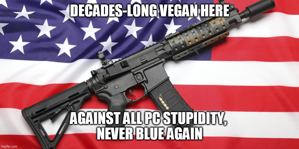 AR-15 and USA Flag | DECADES-LONG VEGAN HERE AGAINST ALL PC STUPIDITY, 
NEVER BLUE AGAIN | image tagged in ar-15 and usa flag | made w/ Imgflip meme maker