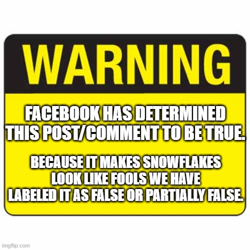 Facebook Warning | FACEBOOK HAS DETERMINED THIS POST/COMMENT TO BE TRUE. BECAUSE IT MAKES SNOWFLAKES LOOK LIKE FOOLS WE HAVE LABELED IT AS FALSE OR PARTIALLY FALSE. | image tagged in warningsign | made w/ Imgflip meme maker