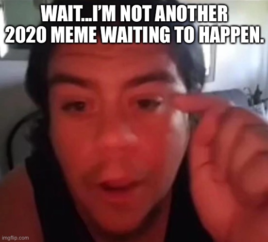 Wait... | WAIT...I’M NOT ANOTHER 2020 MEME WAITING TO HAPPEN. | image tagged in wait | made w/ Imgflip meme maker