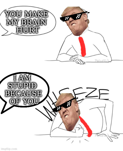 Wheeze | YOU MAKE 
MY BRAIN 
HURT; I AM 
STUPID 
BECAUSE
 OF YOU | image tagged in wheeze | made w/ Imgflip meme maker