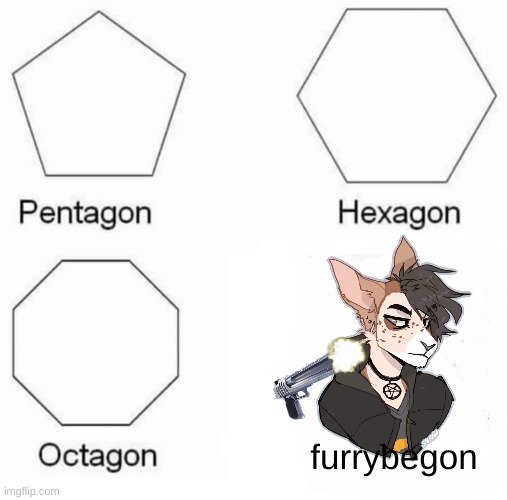 NO FURRIES | furrybegon | image tagged in memes,pentagon hexagon octagon | made w/ Imgflip meme maker